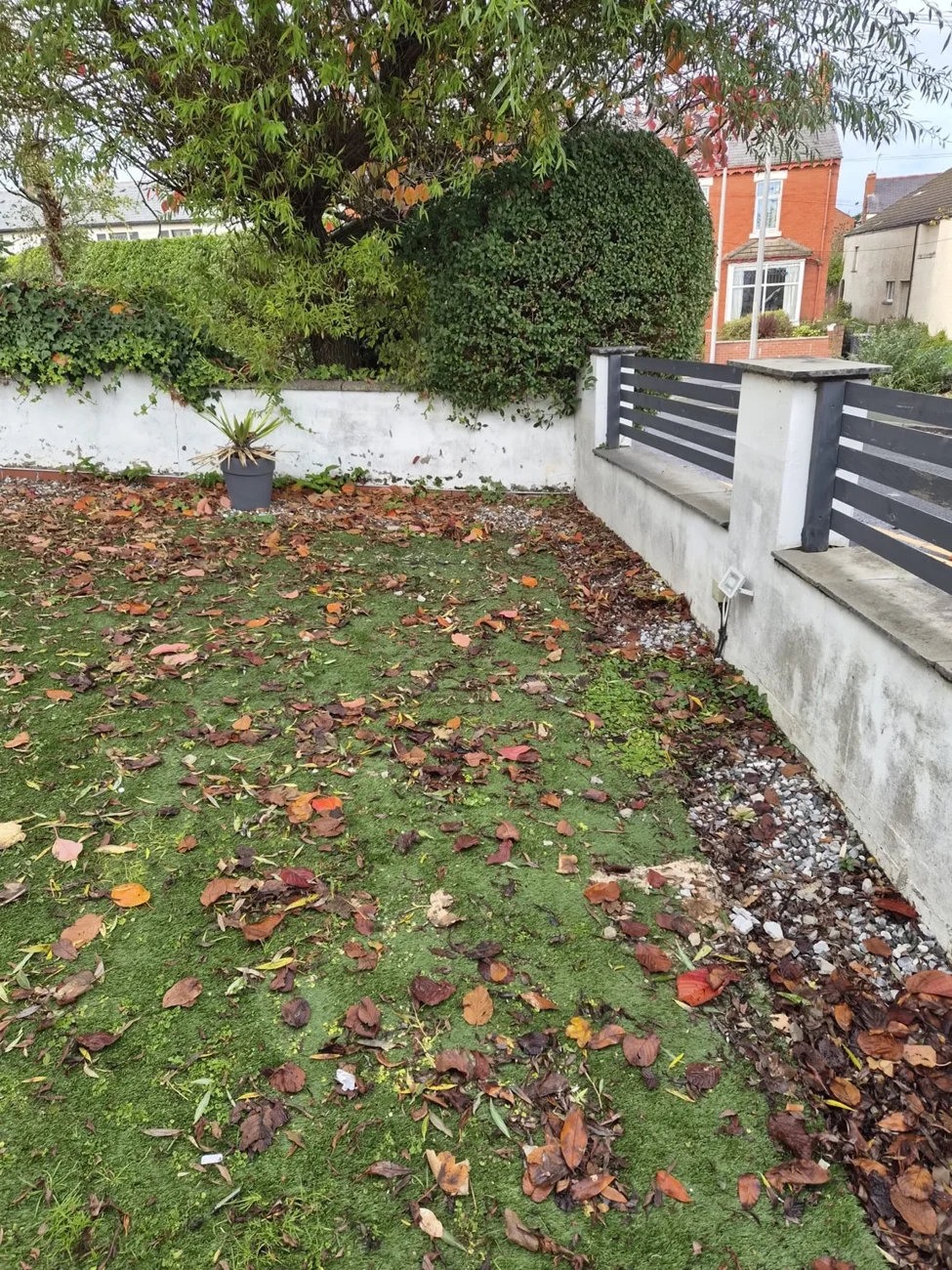 Garden waste collection after our work