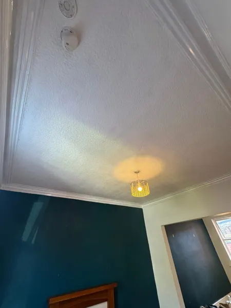 Ceiling before removal